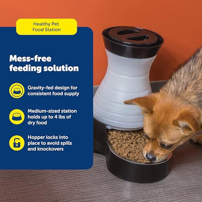 PetSafe Healthy Pet Food Station - Medium, 4 lb Kibble Capacity - Gravity Pet Feeder Dry Food Dispenser, Automatic Cat Feeder, Small to Medium Dog Feeder - Removable Stainless Steel Bowl Included - size: Medium