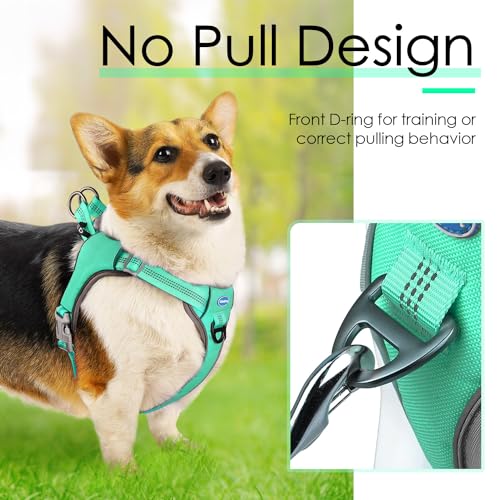 ThinkPet No-Pull Harness, Escape Proof Step-in Reflective Dog Vest Adjustable Breathable Halter Harness with Back/Front Clip for Better Control - color: Teal, size: X-Large