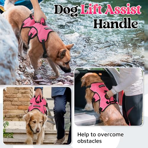 rabbitgoo Escape Proof Dog Harness, Soft Padded Full Body Pet Harness, Reflective Adjustable No Pull Vest with Lift Handle and Leash Clip for Large Dogs Walking Hiking Training, M, Pink - color: Pink, size: Medium (Pack of 1)