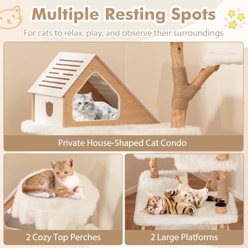 Tangkula Solid Wood Cat Tree, Modern Wooden Cat Tower with Jute Scratching Posts, 2 Perches, Condo, Sisal Rope, Soft Long Plush, 60 Inch Tall Cat Tree Tower for Indoor Cats Large Adult - style: Triangle Condo