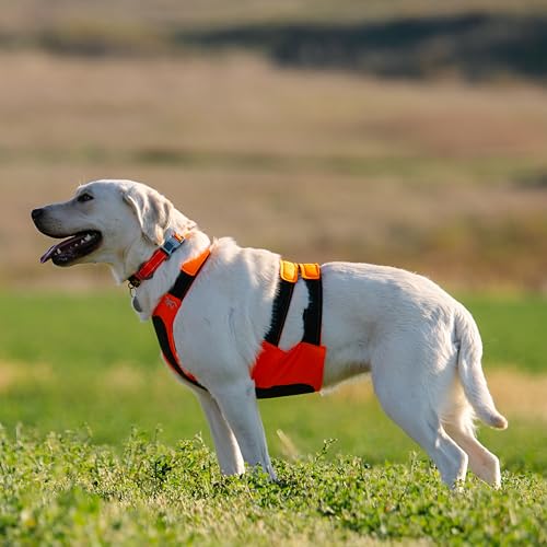 Browning Pet Vests, Hi Vis Safety Vests for Dogs, Safety Orange, Medium, Chest Protection Vest - size: Medium, style: Chest Protection Vest