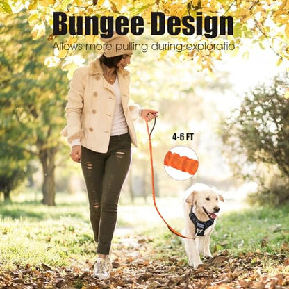 BUMBIN 6Ft Dog Leash - Large Dogs, Bungee Leash with 2 Handles, Heavy Duty, No Pull Shock Absorbing, Orange - color: Orange