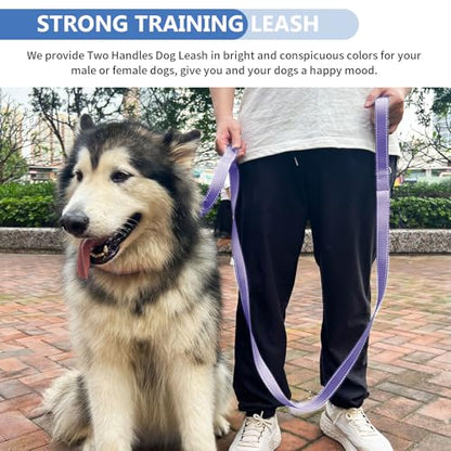 Strong Heavy Duty Dog Leash - 4ft Reflective Nylon Training Leash with Soft Padded Double Handle & Auto Lock Frog Clip, Safety Traffic Control for Large Medium Small Dogs No Pull Walk Light Purple,4ft - color: Light Purple, size: 4FT x 1" x 2.8MM