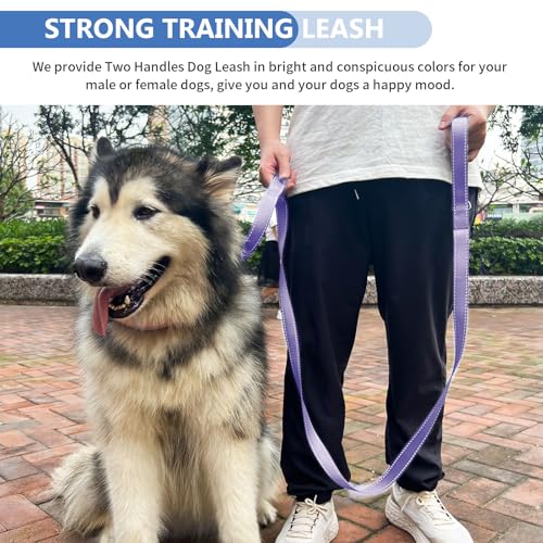 Strong Heavy Duty Dog Leash - 4ft Reflective Nylon Training Leash with Soft Padded Double Handle & Auto Lock Frog Clip, Safety Traffic Control for Large Medium Small Dogs No Pull Walk Light Purple,4ft - color: Light Purple, size: 4FT x 1" x 2.8MM