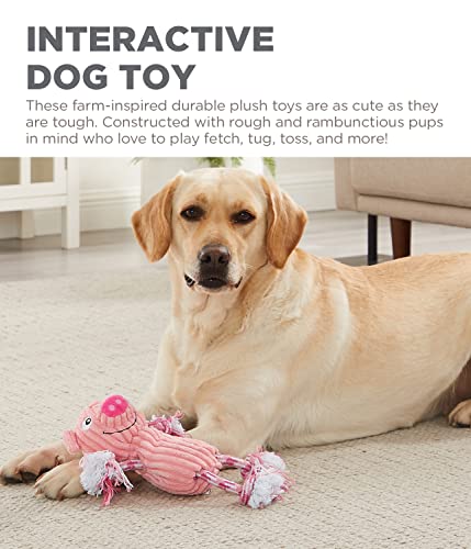 Outward Hound Ranch Roperz Pig Plush Squeaky Dog Toy - color: Ranch Roperz Pig