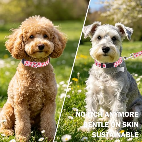 Dog Collar and Leash Set, Adjustable Dog Collars for Small Medium Dogs Boys Girls, Soft Durable Nylon Collar and Matching Leash, Cute Puppy Collars,Strawberry - color: Pink strawberry, size: Small(Neck:11.8"-16.2")