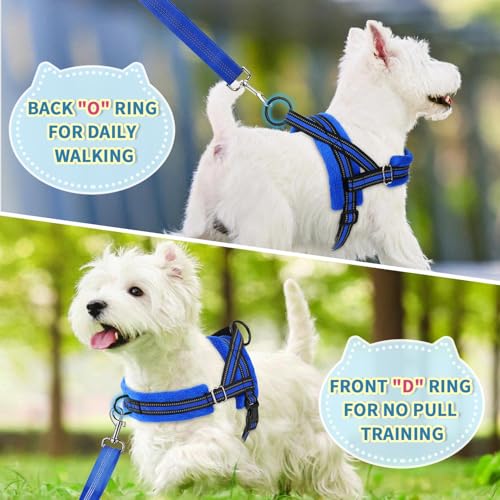 Lukovee No Pull Dog Harness and Leash Set, Soft Padded Small Dog Harness, Neck & Chest Adjustable Reflective Vest Puppy Harness with 4ft Lightweight Anti-Twist Dog Leash for Small Dogs (XXS, Blue) - color: Blue, size: XXS ( Chest 11.5'' ~ 15'')