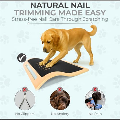 Dog Scratch Board for Nails – Dog Nail Scratch Pad with 2 Extra Sandpapers & Training Guide – Safe Dog Nail File Board for Natural Trimming – Dog Nail Board for All Sizes (Large 16.2in * 16.2in) - size: Large (16.2in * 16.2in)
