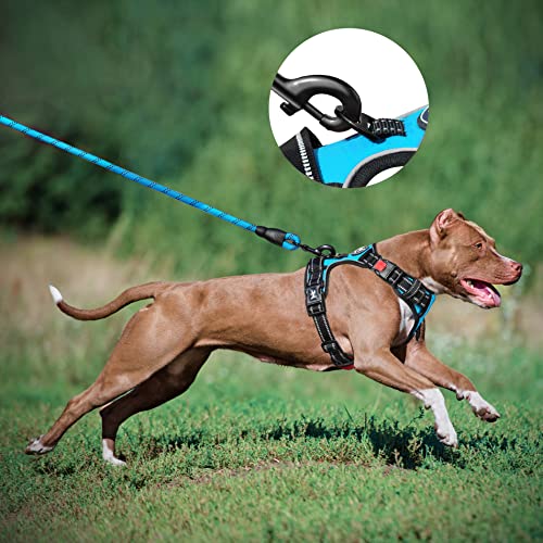 PoyPet Dog Harness and Leash Combo, Escape Proof No Pull Vest Harness, with 5 Feet Leash, Reflective Adjustable Soft Padded Pet Harness with Handle for Small to Large Dogs(Blue,L) - color: Blue, size: L