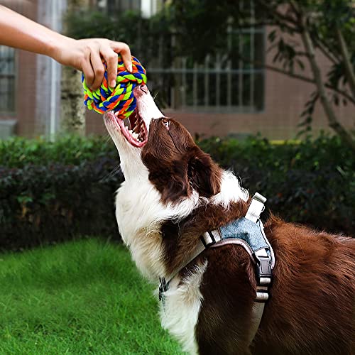 Pet Chew Toy, Knots Weave Cotton Rope, Biting Small Ball for Dogs & Cats, 6 in One Pack - style: 6 Pack