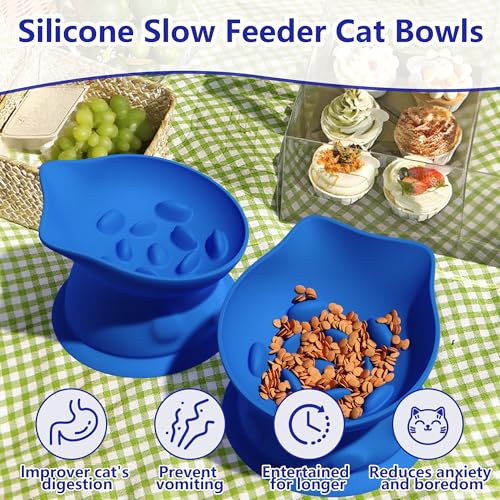 Slow Feed Cat Bowl, Elevated Cat Food Dish with Tilted Design, Dual-Use for Dry and Wet Food, Anti-Vomit, Anti-Choking, Easy to Clean - color: Blue, size: Big