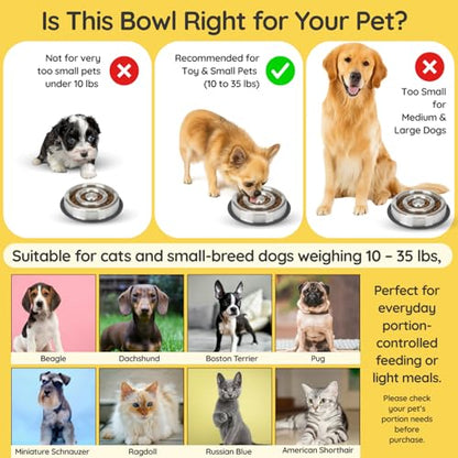 1.2 Cup (9.5 oz) Slow Feeder Dog Bowls, Shallow Spiral Style Stainless Steel Small Dog, Cat Dry, Wet Food Dishes Fast Eater Nonslip Heavy Feeding Puzzle Bowl, Slow Down Eating