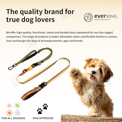 ‌EVERKING 6ft Hands-Free Dog Leash - 6-in-1 Adjustable with 360° Rotating Buckle, Night Reflective & Shock Absorbing for Large/Small Dogs (Up to 120lbs) (Golden) - color: Golden