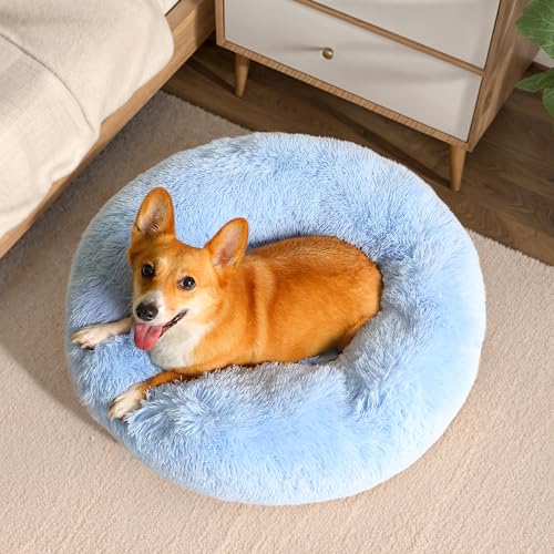 WESTERN HOME WH Calming Dog Bed & Cat Bed, Anti-Anxiety Donut Dog Cuddler Bed, Warming Cozy Soft Dog Round Bed, Dog Cat Cushion Bed for Small Medium Dogs and Cats - color: Light Blue, size: 30.0"l x 30.0"w x 8.0"th