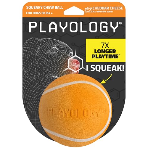 Playology Dog Toys | Squeaky Chew Ball - Bouncy Durable Floating Fetch Ball for Dogs | Jumbo Cheddar Cheese Scented Toy - Easy to Clean and Made from Non Toxic Materials - size: Jumbo, style: Cheddar Cheese