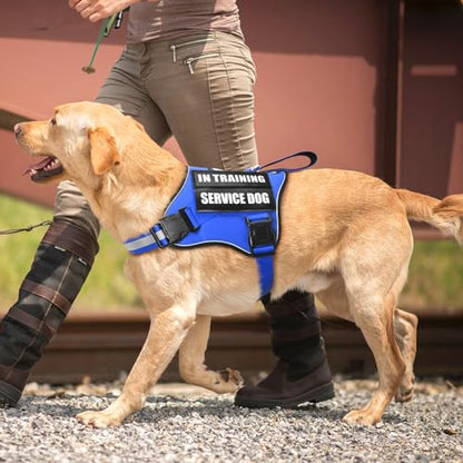 Service Dog Vest Harness and Leash Set+10 Patches,No Pull&Easy Walk Reflective Dog Harness with Soft Padded Handle for Training/Everyday,Fit Small/Medium/Large/Extra-Large Dogs (Blue M) - color: Blue, size: Medium
