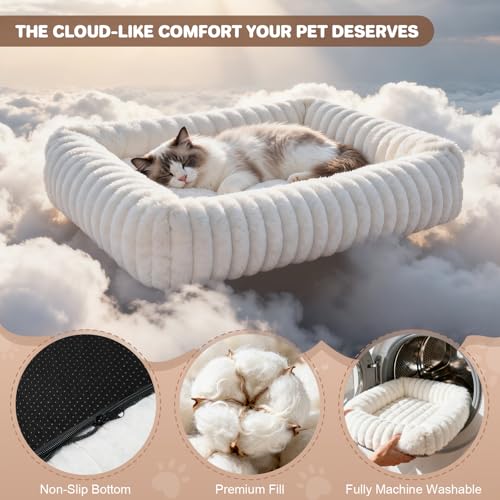 Cat Beds for Indoor Cats, Square Self Warming Cat Bed Orthopedic Pet Bed with Pillow Super Soft Rabbit Fur Small Dog Beds, Calming Plush Kitten Bed with Removable Washable Cover & Anti-Slip Bottom - size: 22*18*6 inces