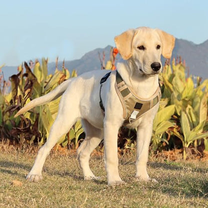 dPois Adjustable Reflective Dog Harness with Back Handle Tactical Padded Vest for Control Easy Walking Large Breed Dogs Khaki Large - color: Khaki, size: Large
