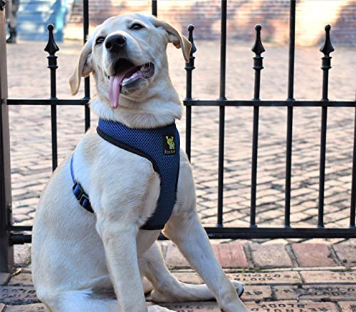 EcoBark Dog Harness - Eco-Friendly Max Comfort Harnesses - Luxurious Soft Mesh Halter - Over The Head Harness Vest- No Pull and No Choke for Small and Medium Dogs (Med, Navy) - color: Cobalt Dark Blue