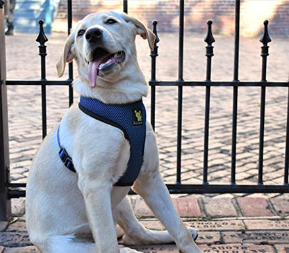 EcoBark Dog Harness - Eco-Friendly Max Comfort Harnesses - Luxurious Soft Mesh Halter - Over The Head Harness Vest- No Pull and No Choke for Small and Medium Dogs (Med, Navy) - color: Cobalt Dark Blue