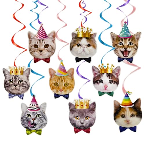 Cat Birthday Streamer Hanging Decor – 9-Pc Kitten Ribbon Swirls with Cat Face Garland, Rainbow Foil Spiral, Indoor Ceiling/Wall Party Decoration for Cats & Kids - size: Cat Streamer Hanging Decor