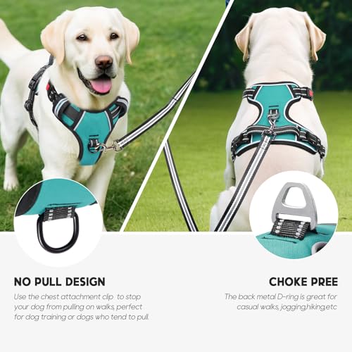 No Pull Dog Harness, Release at Neck Reflective 3 Snap Buckles Adjustable No Choke Pet Vest with Front & Back 2 Leash Clips, Soft Padded Control Training Handle for Small Medium Large Dogs - color: Lock-Turquoise, size: Medium (Pack of 1)