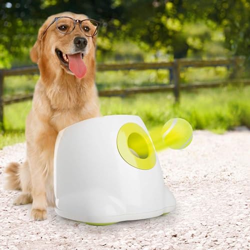 ALL FOR PAWS Interactive Super Bounce Tennis Balls Dog Toy, Pet Safe Toys for Exercise and Training, 2.5 Inch Diameter (6 Pack) - size: 2.5 Inch
