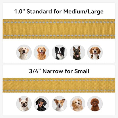 Joytale Dog Leash, 4 FT Double-Sided Reflective, Padded Handle Nylon Heavy Duty Leashes for Small Dogs Walking, Khaki - color: Khaki, size: 4 ft Narrow