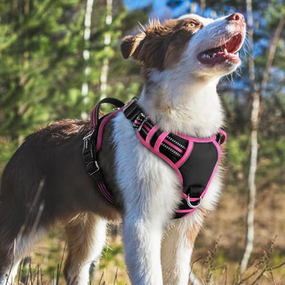 rabbitgoo Dog Harness Medium Sized, No Pull Dog Vest with 3 Buckles, Adjustable Soft Padded Pet Harness with Easy Control Handle and Reflective Strips, Black & Rose Pink, M - color: Black & Rose Pink, size: Medium