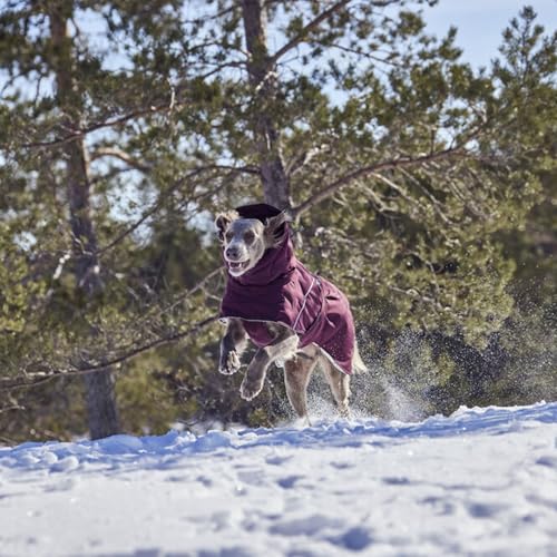 Hurtta Extreme Warmer III ECO, Cold Weather Winter Dog Coat, Eggplant, 12 in - color: Eggplant, size: 12 in