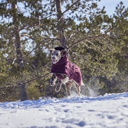 Hurtta Extreme Warmer III ECO, Cold Weather Winter Dog Coat, Eggplant, 16 in - color: Eggplant, size: 16 in