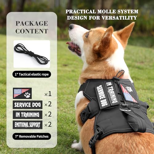 Escape Proof Dog Harness, Soft Padded Full Body Pet Harness, Reflective No Pull Dog Harness with Handle and 2 Leash Clips for Small Dogs Walking Hiking Training (Black,S)