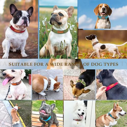 Soft Nylon Dog Collar with Buckle, Adjustable Padded Pet Collar with D-Ring for Small Medium Large Dogs,Green,M - color: Green, size: M:Neck 14.2-18.1"