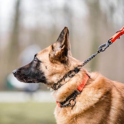 Herm Sprenger Black Stainless Steel Dog Collar with Short Links and Quick Release ClicLock Buckle Made in Germany (20in x 3.0mm (Neck Size up to 16-17in) - color: Black Stainless Steel, size: 3.0 mm x 16-17 in Neck Size; 20 in Chain Length
