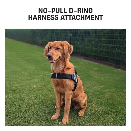D-Ring No-Pull Harness Attachment by Dog Friendly Co. - size: S-XL