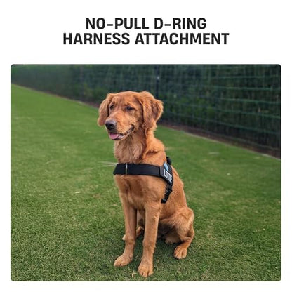 D-Ring No-Pull Harness Attachment by Dog Friendly Co. - size: S-XL