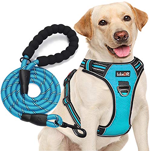 tobeDRI No Pull Dog Harness Adjustable Reflective Oxford Easy Control Medium Large Dog Harness with A Free Heavy Duty 5ft Dog Leash (S (Neck: 13"-18", Chest: 17.5"-22"), Blue Harness+Leash) - color: Blue Harness+Leash, size: Small