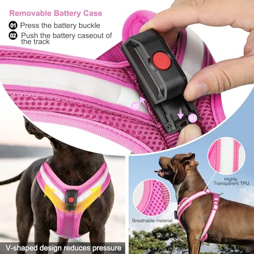Light Up Dog Harness, LED Dog Harness Rechargeable, Glow in the Dark, LED Dog Vest Reflective, Light Up Harness for Dogs, Dog Lights for Night Walking, Pink, XL - color: Pink