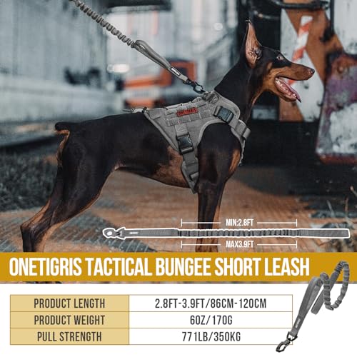 OneTigris Tactical Dog Training Leash Bungee Leash with 2 Control Handle Quick Release Nylon Leads Rope(Grey) - color: Grey