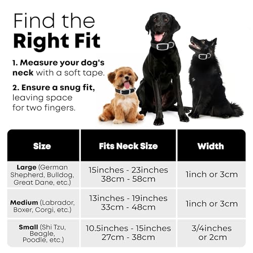 Regal Dog Products Small Black with Custom Engraved Waterproof Dog Collar and Leash Set | Waterproof Dog Collar with Double Buckle & D Ring - 5'ft Leash | Matching Dog Collar and Leash for Dogs - color: Black, size: Small Collar with leash