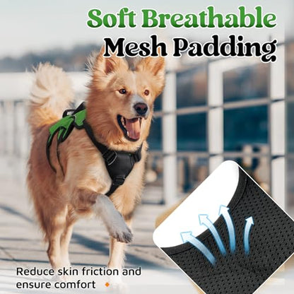 rabbitgoo Escape Proof Dog Harness, Soft Padded Full Body Pet Harness, Reflective Adjustable No Pull Vest with Lift Handle and Lesh Clip for Large Dogs Walking Hiking Training, M, Green - color: Green, size: Medium (Pack of 1)