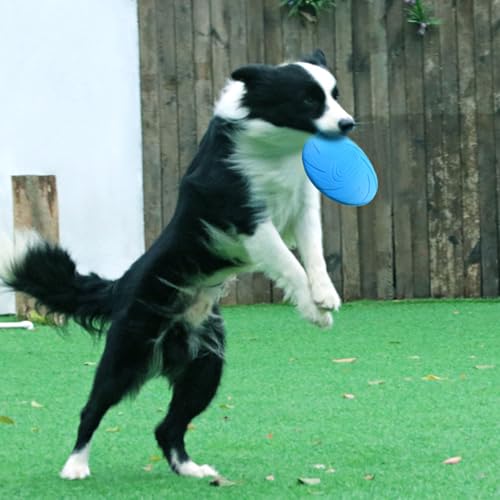 Dog Flying Discs Non Slip Dog Toy Soft Rubber Training Exercise Active Pet Training Disc Outdoor Dog Training Disc - color: P, size: Small