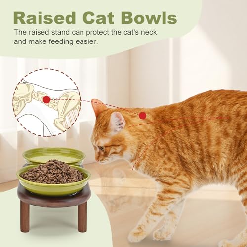 SPUNKYJUNKY Shallow Elevated Cat Bowl with Acacia Wood Stand Wide Raised Ceramic Cat Dishes Whisker Friendly Pet Food and Water Plates (Striped Pattern, Green) - color: Green