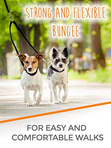 Mighty Paw Double Dog Leash - Force Absorbing Bungee Design - Two Dog Leashes Splitter - Walking Two Pets - 2 Pet Tangle Free - Pet Splitter (Lite | 30-100 lbs | No Handle, Black)