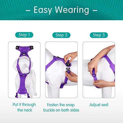 PoyPet Reflective Soft Breathable Mesh Dog Harness No Choke Double Padded Vest Adjustable(Purple,XS) - color: Purple, size: XS