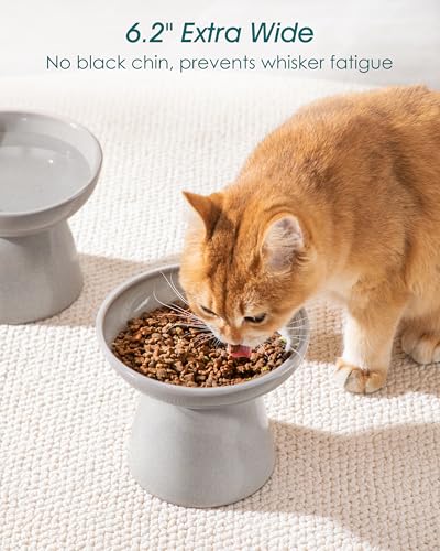 vancasso Ceramic Elevated Cat Bowls 2-Pack - 6.2" Extra Wide Raised Cat Food & Water Dishes, 5.1" Optimal Height Anti-Whisker Fatigue Shallow Bowls for Cats/Kittens/Dogs, Lead & Cadmium Free (Grey) - color: Grey