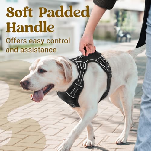 rabbitgoo Dog Harness Medium Sized, No Pull Pet Harness with Soft Padded Handle, Adjustable Reflective Vest with 3 Buckles, Easy Walking Harness with 2 Leash Clips, Black, M - color: Black, size: Medium