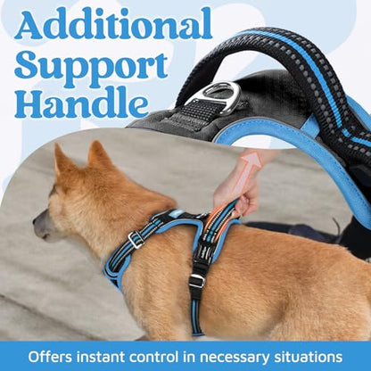 rabbitgoo Dog Harness Small Sized, No Pull Dog Vest with 3 Buckles, Adjustable Soft Padded Pet Harness with Easy Control Handle and Reflective Strips, Black & Sky Blue, S - color: Black & Sky Blue, size: Small