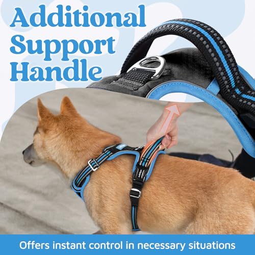 rabbitgoo Dog Harness Small Sized, No Pull Dog Vest with 3 Buckles, Adjustable Soft Padded Pet Harness with Easy Control Handle and Reflective Strips, Black & Sky Blue, S - color: Black & Sky Blue, size: Small