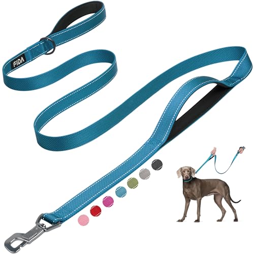 Fida 6 FT Heavy Duty Dog Leash with 2 Comfortable Padded Handles, Traffic Handle & Advanced Easy Snap Hook, Reflective Walking Lead for Large, Medium & Small Breed Dogs, Blue - color: Blue, size: 6 Feet (Pack of 1)